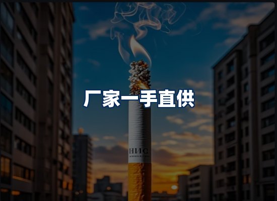 专业团队办公环境
